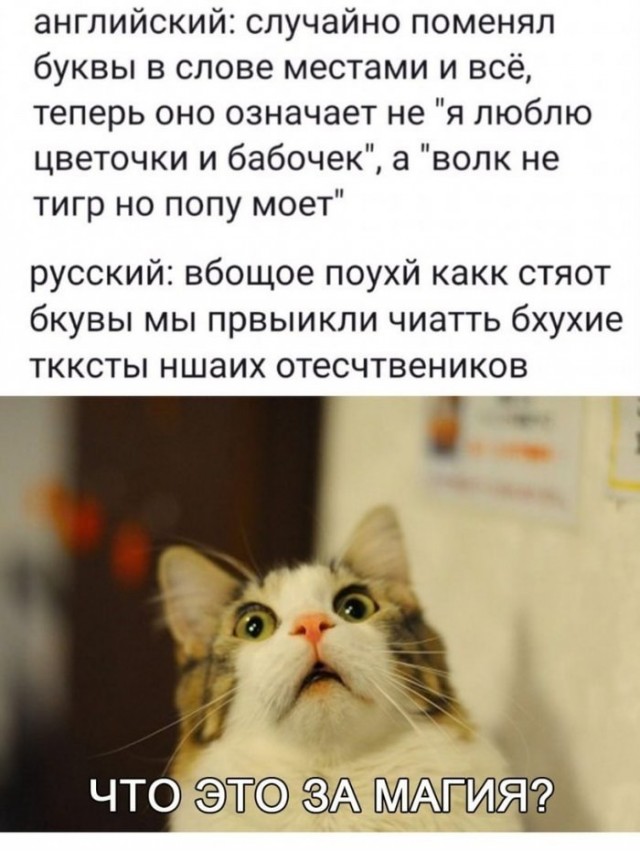 Субботние картинки