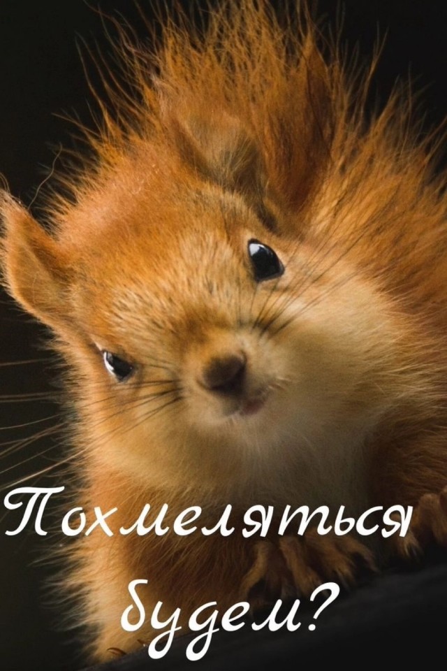 Воскресные картинки