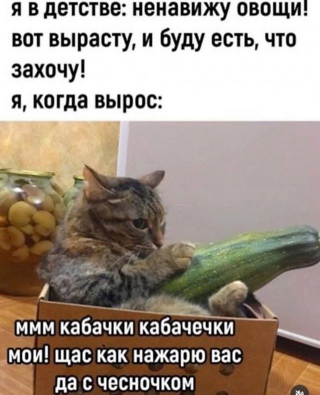 Картинки для деградации 194 (разной степени свежести)