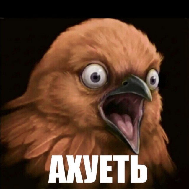 Орхидеи.