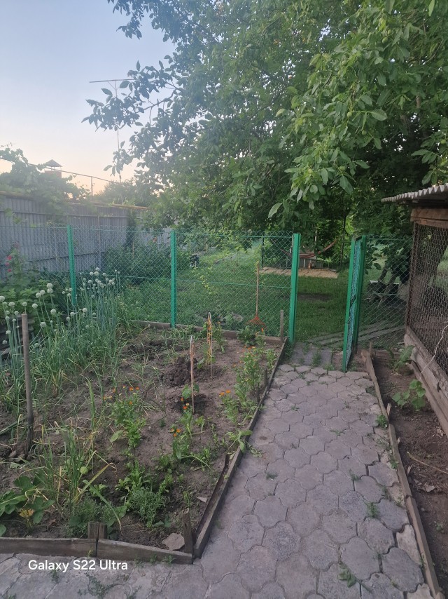 Ебаная бессонница