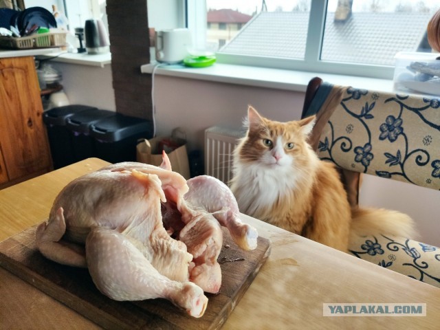 Максимальная отстранённость