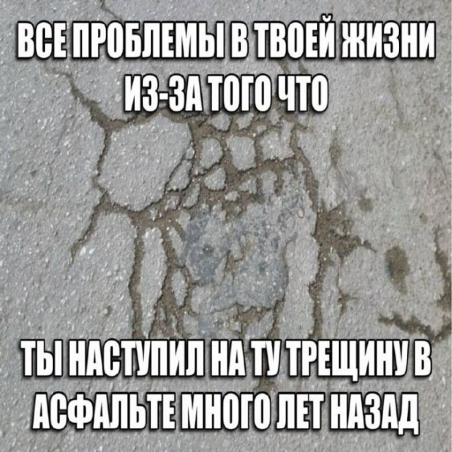 Картинки для деградации 242 (разной степени свежести)