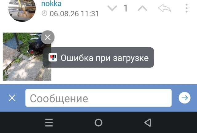 К собако четвергу