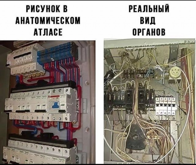 Картинки для деградации 252 (разной степени свежести)