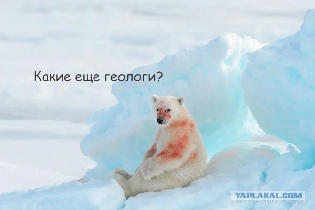 Не, ну а че он...