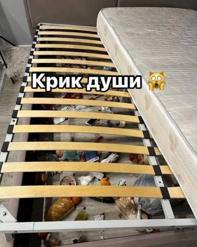Россиянка сдала квартиру порядочным гражданам