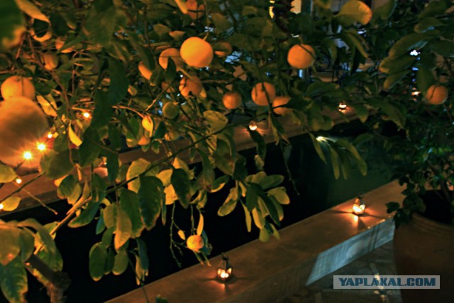 Новогодняя ночь в пустыне Сахара