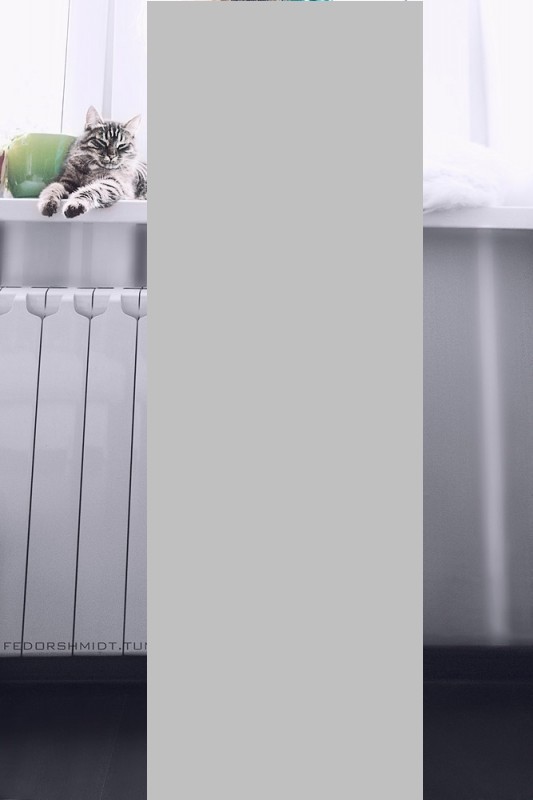 Подскажите марку радиаторов...(с)