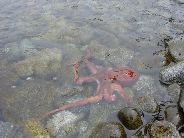 Малоизвестное Приморье.