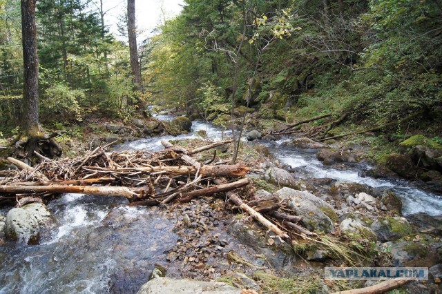 Малоизвестное Приморье.