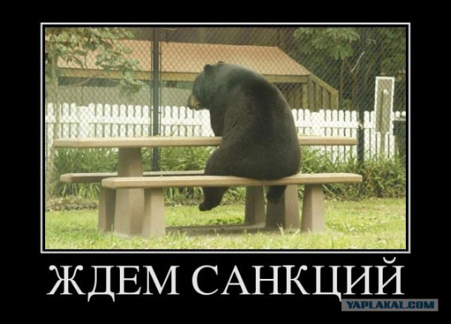 Ну и как жить дальше без польских яблок?...