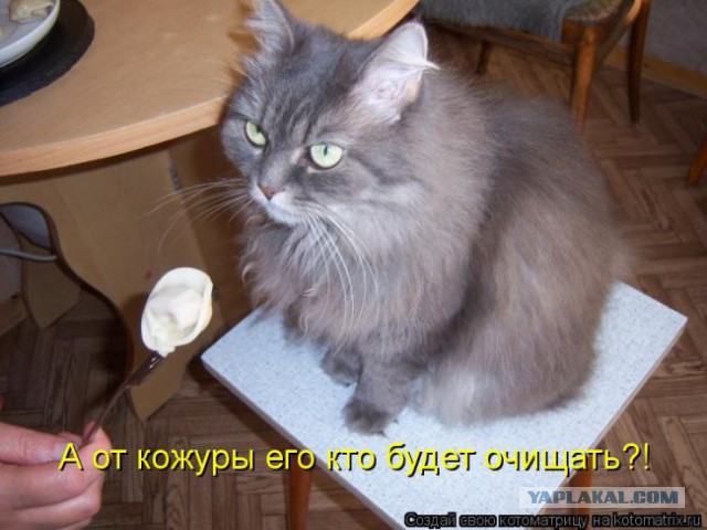 Чёрт, чёрт, чёрт!