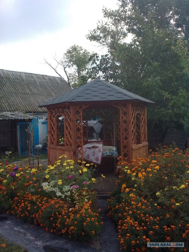 Наша беседка.