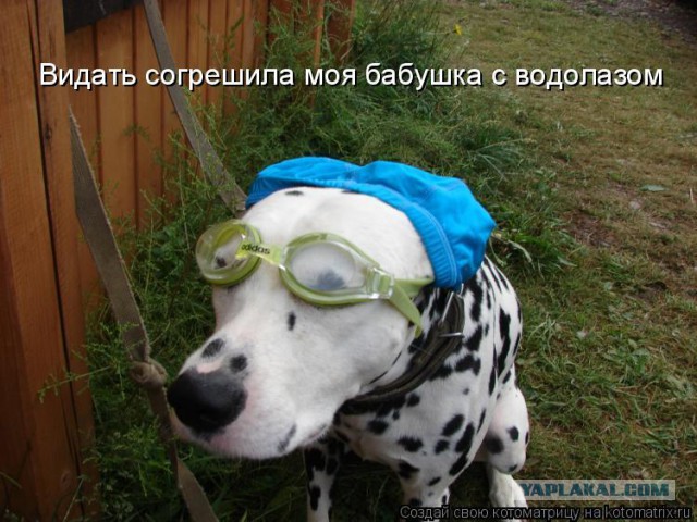 10 вещей, которые удивляют туристов в Нидерландах
