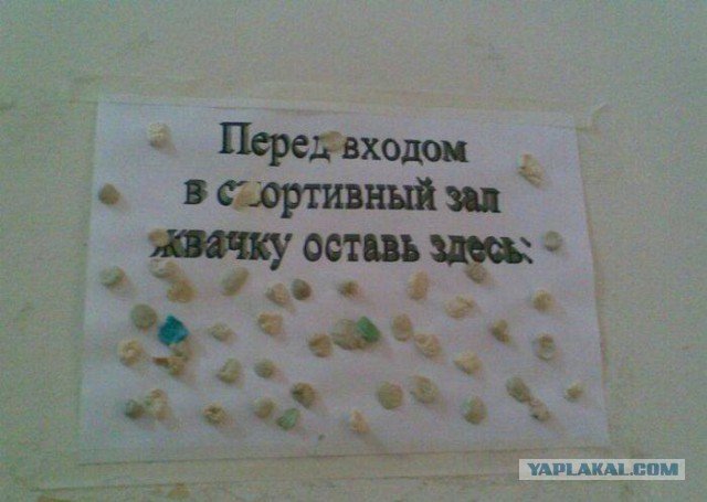 41 веселая картинка