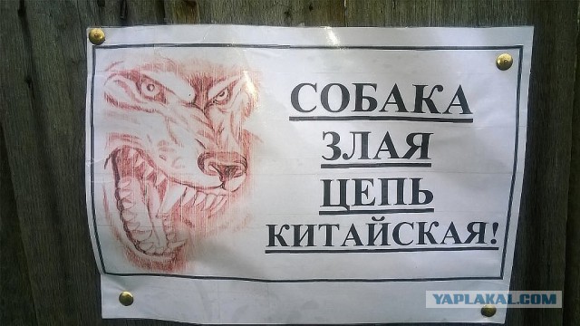 Таблички собачьи
