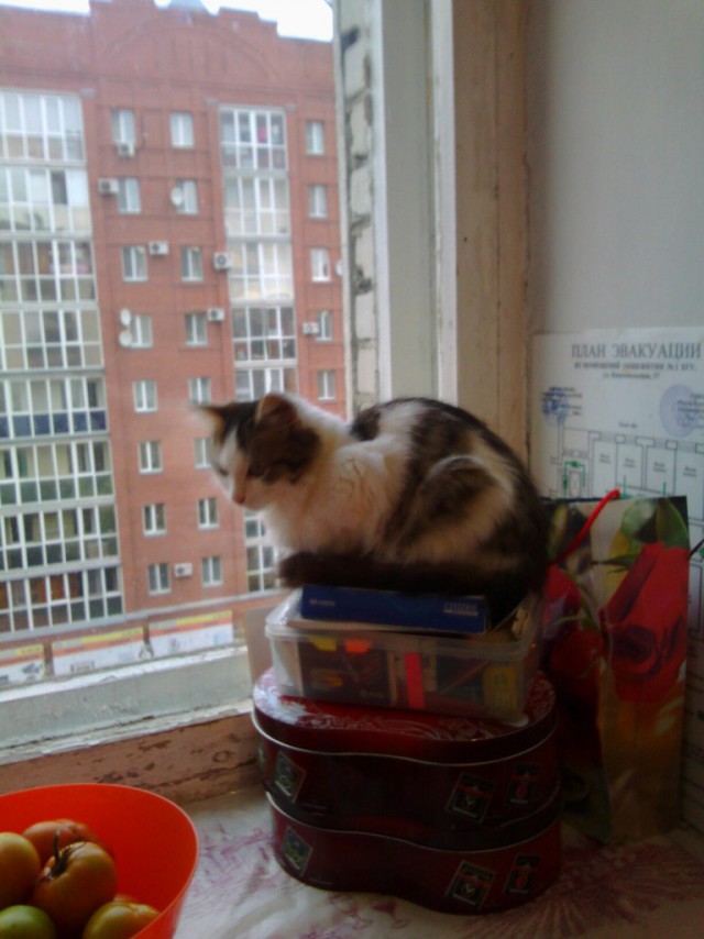 Сам пришел ко мне в универе)