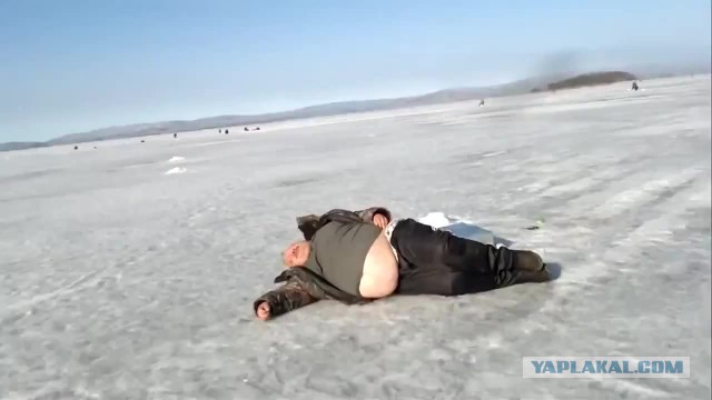 Леопард-рыбак. чот тоже рыбки захотелось!