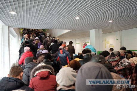 Дерущиеся кемеровчане разгромили эскалатор в Леруа Мерлен