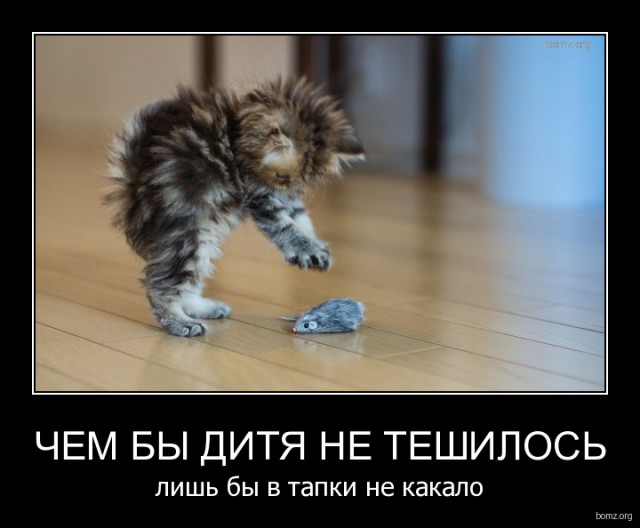 Картинки для поднятия настроения - 4