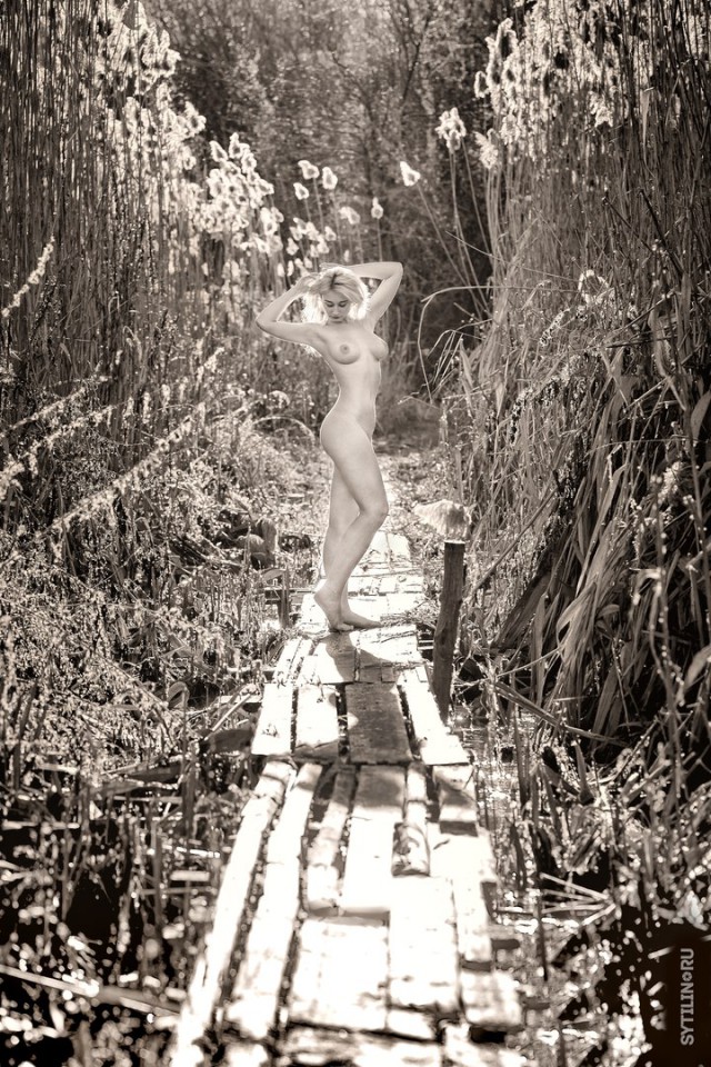 Приятные дамы из социальных сетей