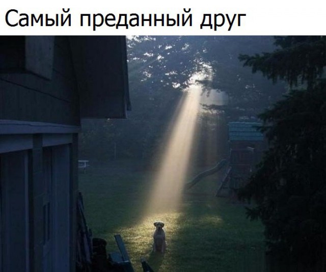 Разные картинки из сети