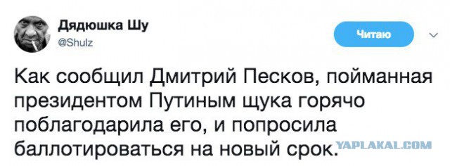 Рыбалка Путина на щуку (2017)