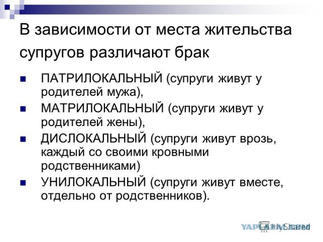 Журнал школьный деградант