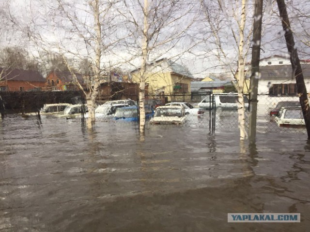 Паводок 2018 на Алтае. Начало
