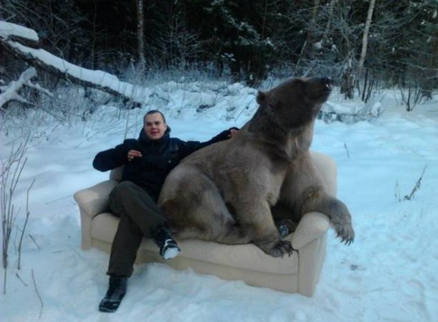 Живность из сети
