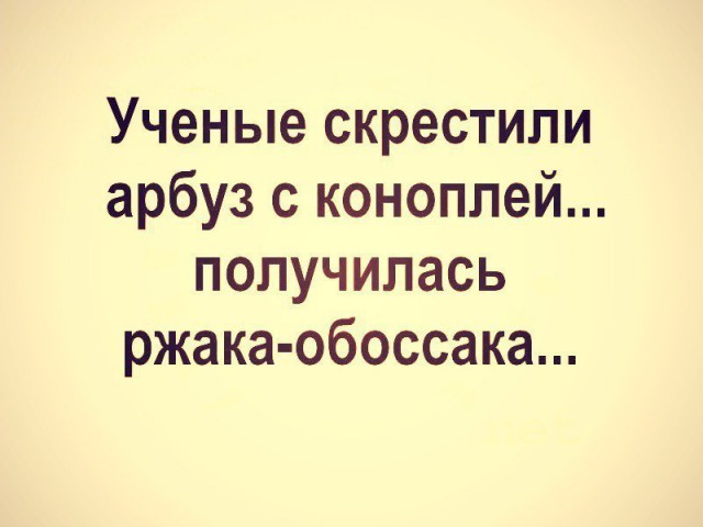 Бары, в которых почти каждый посетитель становится постоянным клиентом