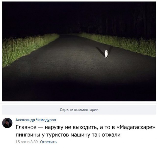 Смешные комментарии из социальных сетей