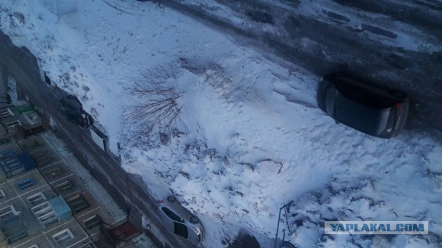 17 мая Сургут