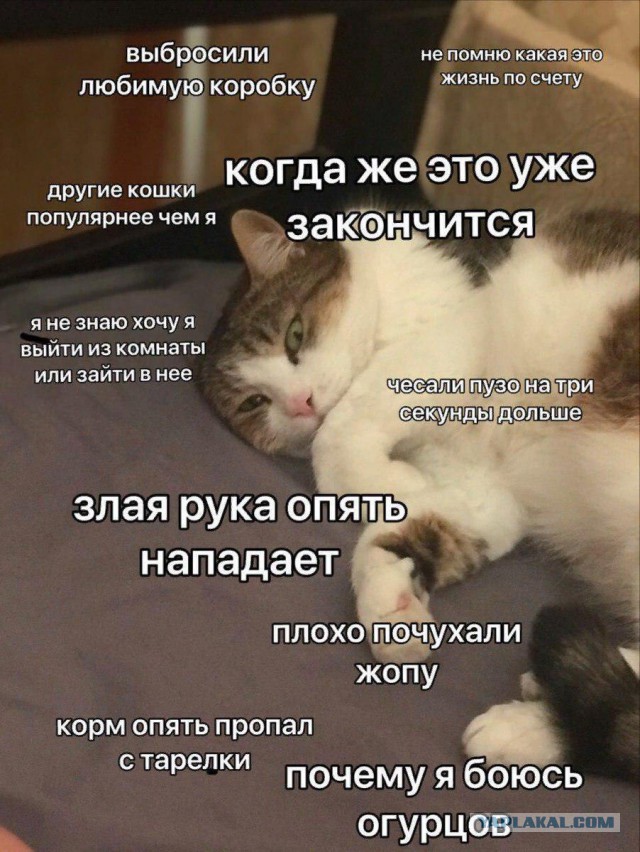 Не очень адекватный юмор