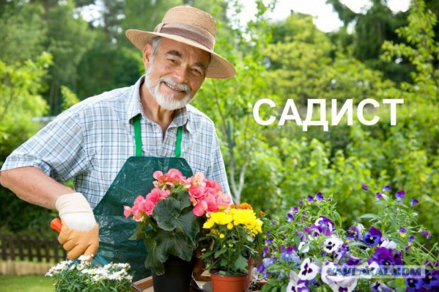 Игра слов в картинках