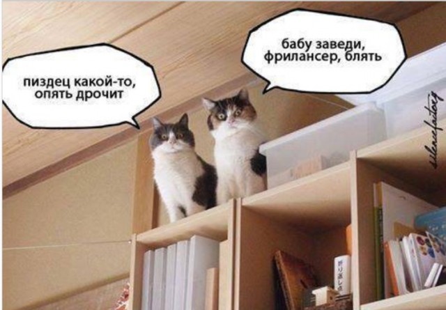 Петушара