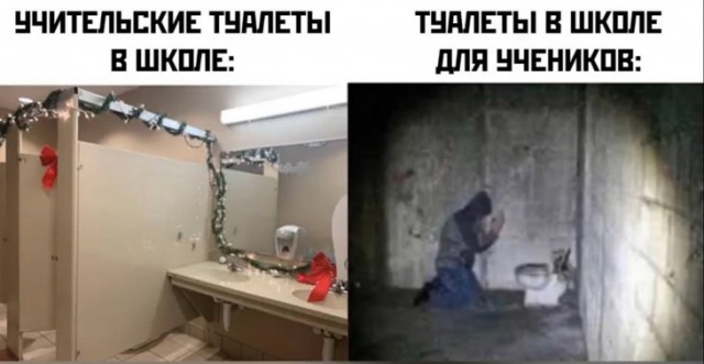 Немного картинок для настроения 10.02.20