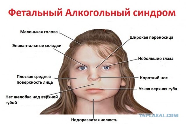 Анти-Грета. Что известно о немецком блогере, которая борется с идеями Греты Тунберг