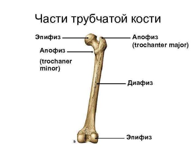 Мы все умрем