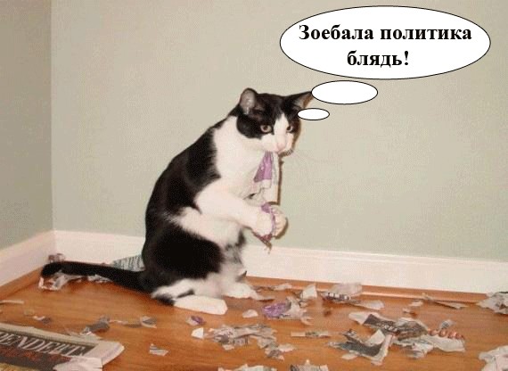кот Матроскин и счёт за интернет