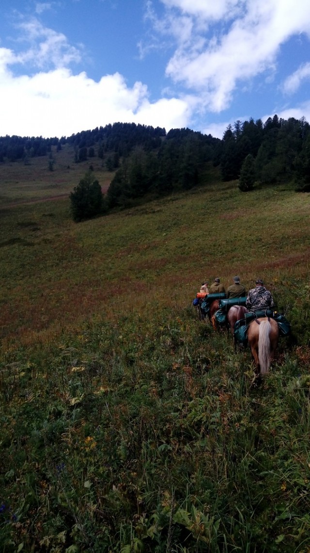 На конягах по Алтаю
