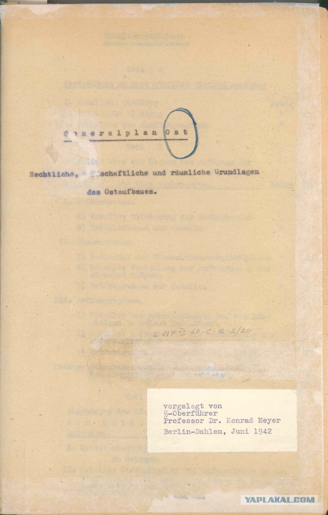 Питерский учёный считает, что «Холокоста в том объёме просто не было»