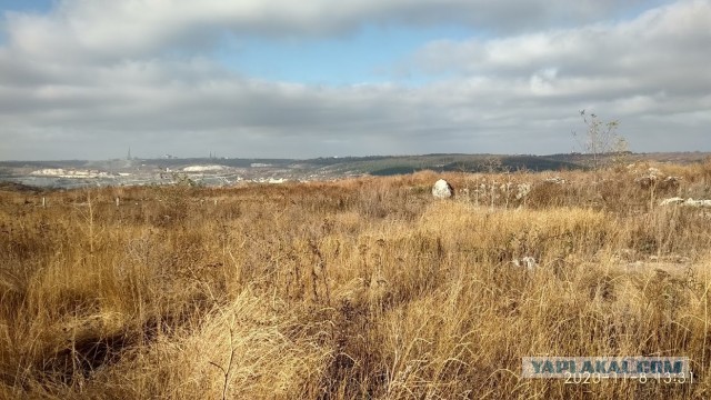 Камчатка, Толбачик