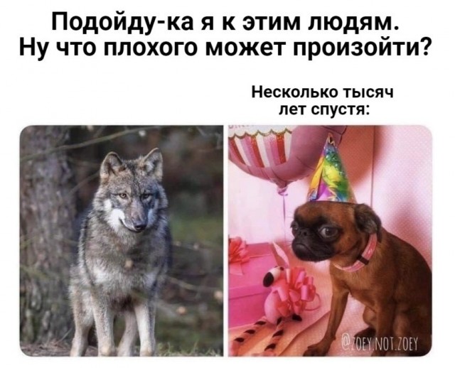 Отмена деградации. Околонаучные картинки