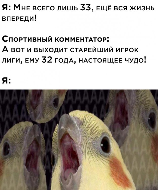 Весёлый полтишок 31.07