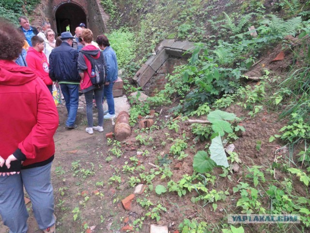 Калининград – любовь с первой прогулки…
