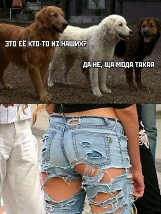 Картинки и мемы, всем прекрасных выходных