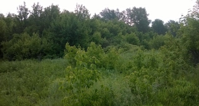 Декабрь на Южном Урале