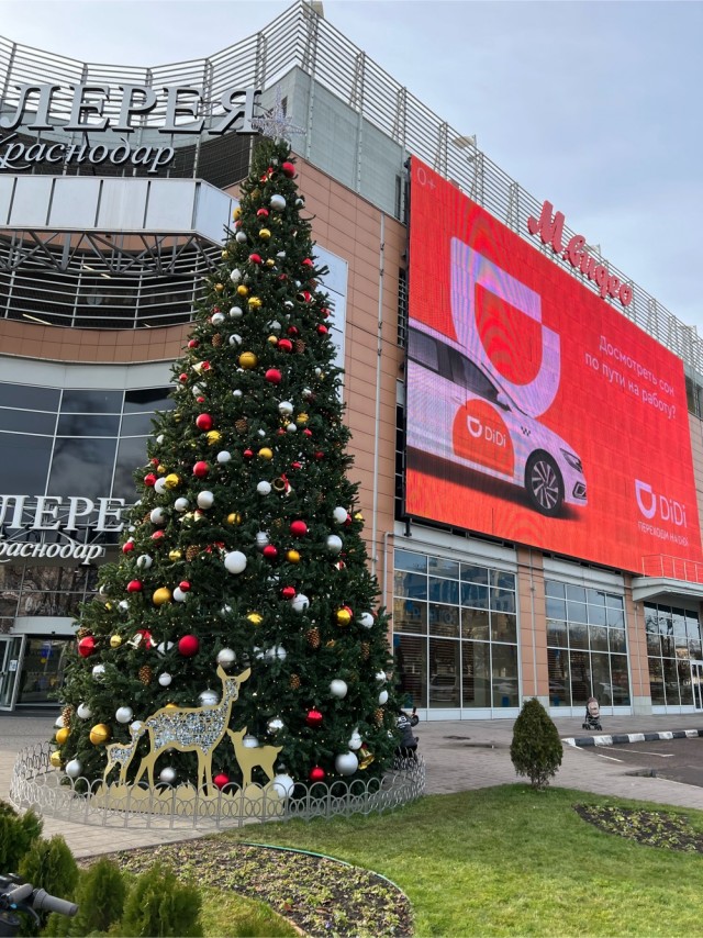 Первое января глазами непьющего человека